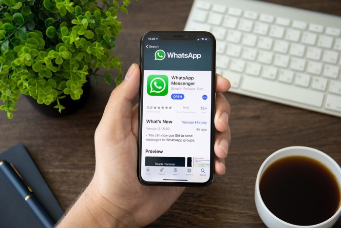 How does Whatsapp Business App help Sales?